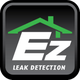 Logo: "EZ Leak Detection" with a green roof design above the text on a dark background.
