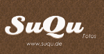 Logo der Webseite "SuQu" mit braunem Hintergrund und weißer Schrift. URL: www.suqu.de