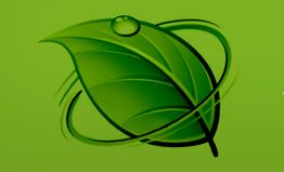 Grünes Blatt mit Wassertropfen auf grünem Hintergrund, von Linien umgeben.