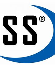 GSS Global Security GmbH Logo