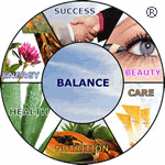 Kreisdiagramm mit Balance in der Mitte, zeigt Erfolg, Schönheit, Pflege, Ernährung, Gesundheit, Energie.