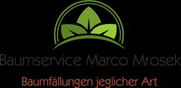 Logo eines Baumpflegedienstes mit grünen Blättern und Schrift "Baumfällungen jeglicher Art".