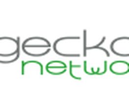 Werbeagentur Gecko Networks GmbH Logo