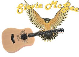 Akustikgitarre vor einem Adler-Logo und der gelben Schrift "Stevie McGee".