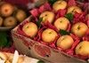 Crate of apples wrapped in red paper, with a blurred background of more apples.