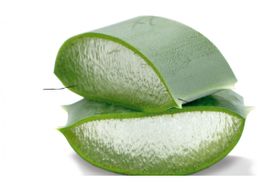 Zwei abgeschnittene Aloe-Vera-Blätter, die übereinander gestapelt sind, mit sichtbarem Gel im Inneren.