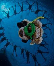 Bubbles, Taucher aus Leidenschaft