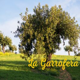 Árboles en un campo verde bajo un cielo azul con la palabra "La Garrofera" en amarillo.