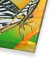 Leinwandfoto.de - Fotoleinwand