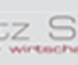steuern + wirtschaft + treuhand Logo