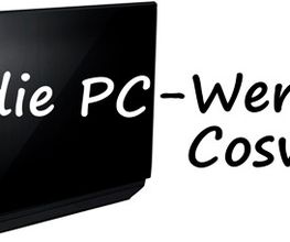 die PC - Werkstatt - Coswig Logo