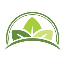 Ilustración de hojas verdes en un diseño circular.