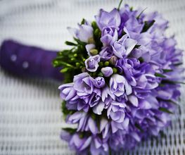 Mazzo di fiori viola su sfondo intrecciato bianco.