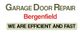 Garage Door Repair Bergenfield: "We are efficient and fast" in bold text.