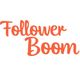 Roter Schriftzug "Follower Boom" auf weißem Hintergrund.