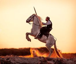 Reiter auf steigendem weißen Pferd bei Sonnenuntergang auf einem Feld.