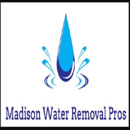 Logo with a blue water droplet and splashes, labeled "Madison Water Removal Pros."