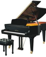 Seiler Flügel 209 schwarz poliert