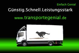 LKW mit Geparden-Silhouette, Text: Günstig. Schnell. Leistungsstark. www.transportegenial.de