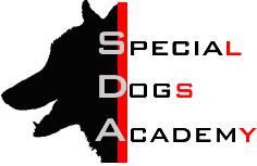 Silhouette eines Hundekopfes mit Schriftzug „Special Dogs Academy“ in Schwarz und Rot.