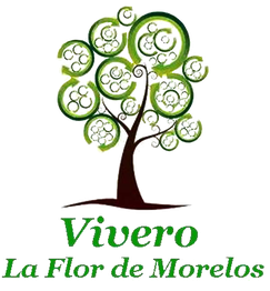Árbol estilizado con texto: "Vivero La Flor de Morelos" en letras verdes.