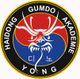 Logo der Haidong Gumdo Akademie, zeigt einen stilisierten Drachen auf rot-blauem Hintergrund.