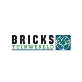 Logo met tekst "BRICKS TUINWERELD" naast een ronde afbeelding in blauwe en groene tinten.