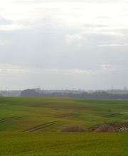 Hügellandschaft