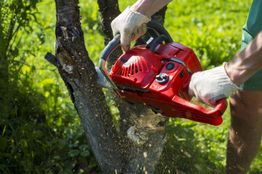 Person using a red chainsaw to cut a tree trunk in a green outdoor setting.