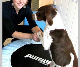 Physiotherapie Trampolin
