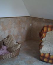 Hundezimmer