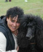 Pralinen-Hersteller & Pralinen Tester