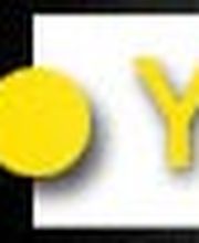 POINT YELLOW Logo