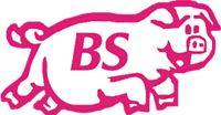 Rosa Schwein mit den Buchstaben "BS" auf der Seite, stilisiert und im Cartoon-Stil.