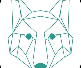 Wolf's Instinkte - Deine Hundeschule Logo
