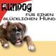 Boxerhund mit Text: "Rundog für einen glücklichen Hund" auf farbigem Hintergrund.