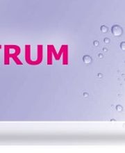 KS Autoglaszentrum Eckernförde Logo