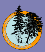 Logo mit zwei Baum-Silhouetten im Kreis, Text: "Fachbetrieb für Baumpflege - Krumpen".