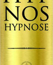 ICC HYPNOS Logo