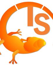 TS Software Logo