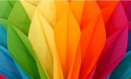 Bunte Papierfächer in Regenbogenfarben, von Gelb über Orange bis Rot, nah beieinander gefaltet.