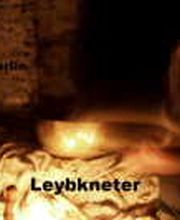 Leybkneter Logo