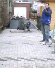 Handwerkerportal 2010