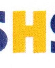 SHS Systemhaus Sayk Logo