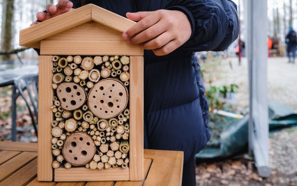 Artenschutz beim Dachbau mit Insektenhotel & Co.