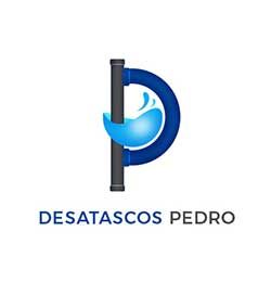 Logo de "Desatascos Pedro" con una tubería y símbolo de agua en forma de letra P.