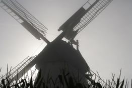 Silhouette einer Windmühle im Nebel, Sonnenlicht im Hintergrund, vordere Silhouette von Pflanzen.