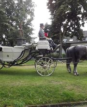 weisse Hochzeitskutsche mit Schimmelgespann