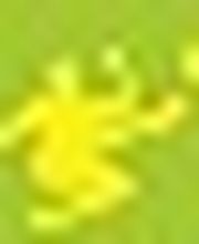 fussball-halle ARENA  Logo