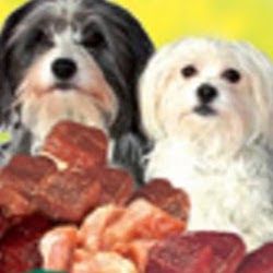 Zwei Hunde mit langem Fell, umgeben von verschiedenen Fleischstücken.